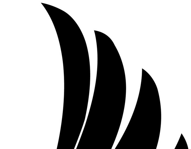 鹰羽毛素材