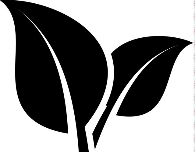 植物