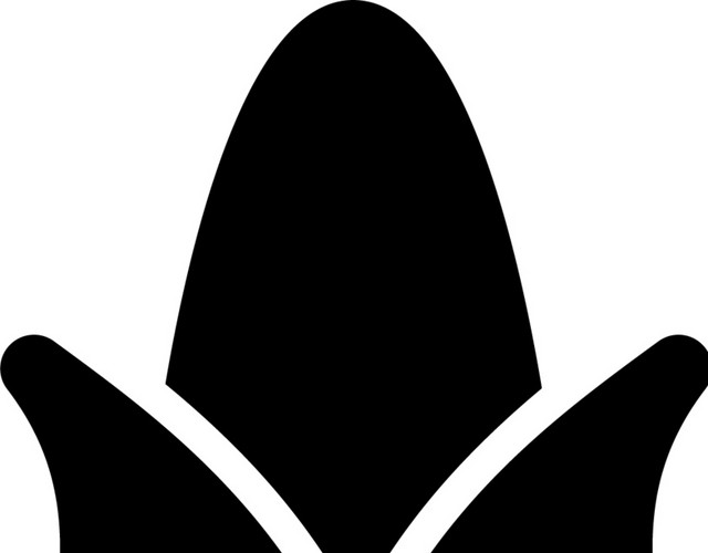 玉米图标