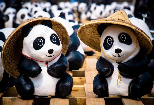 黑白可爱的小熊猫玩偶展示商业宣传背景图片