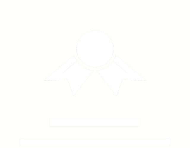 白色表彰文件图标