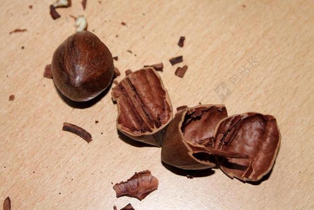果壳坚果NUTSHELLS美国山核桃背景图片
