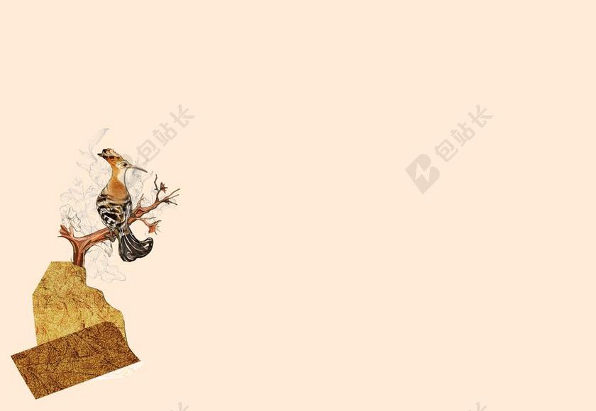 树枝小鸟手绘简约背景图片