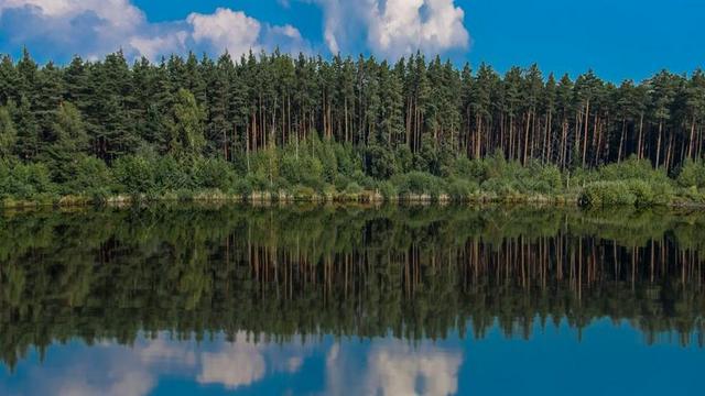湖 池塘 水 森林 性质 湖景 桌面背景 牧歌 景观 思考