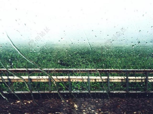 雨 窗外 树林