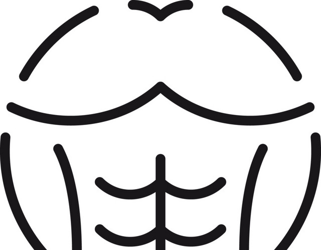简约线条人类肌肉矢量素材