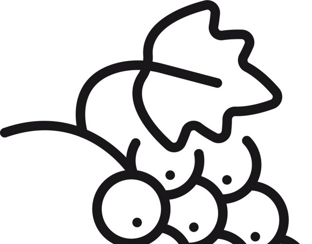 手绘葡萄图标