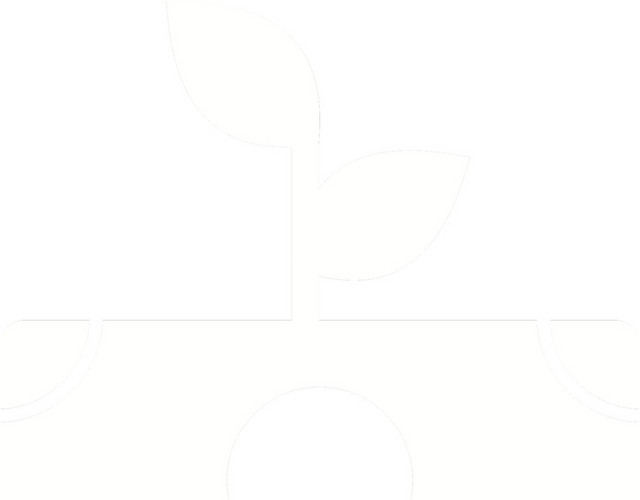 白色种子图标