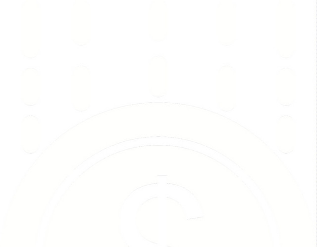 白色大金币图标