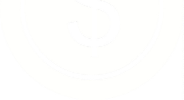 白色大金币图标