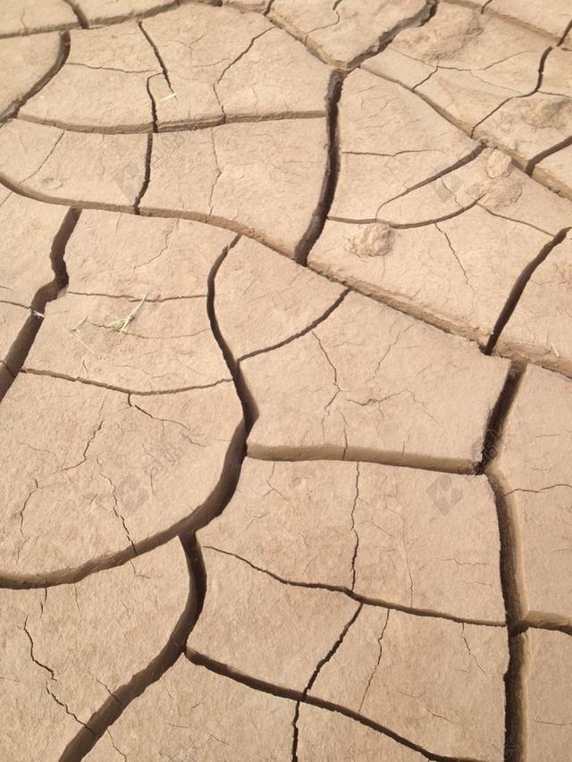 大地 黄土 开裂 干枯 裂纹