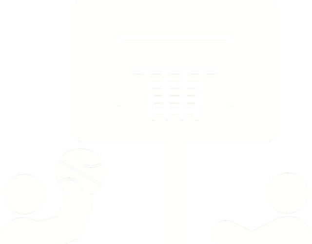 白色篮球图标
