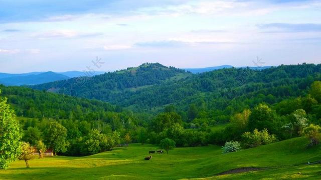 罗马尼亚 丘卡什 景观 山 绿色 自然 风景 去野外