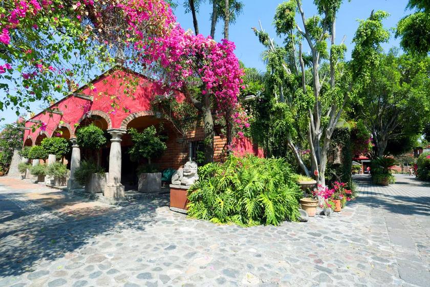 花园 地方 农村 结构