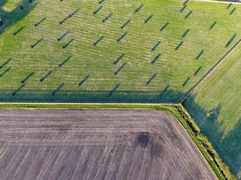 原野 农业 农村 自然 景观 作物 土地 收获 农田 夏天