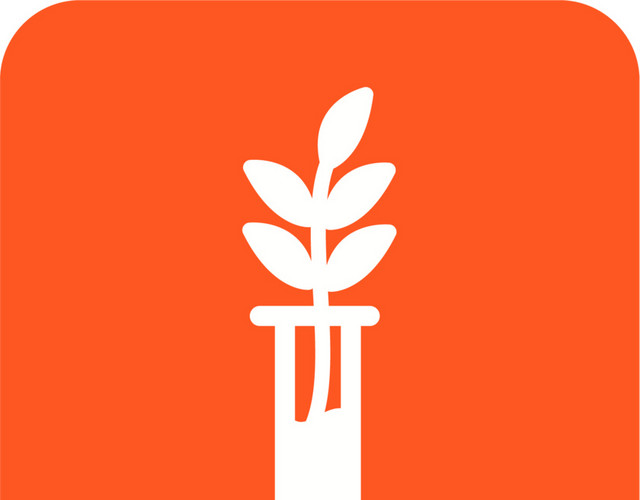 试管植物素材