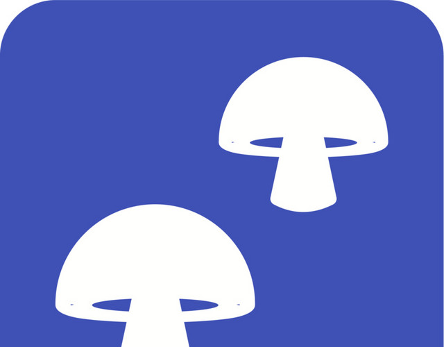 菌菇素材