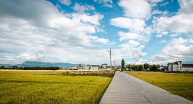旅游自然稻田道路背景图片