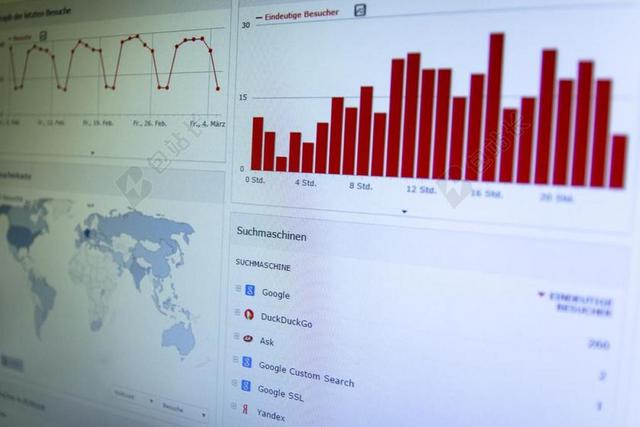 WEB 页 访客 图形 分析