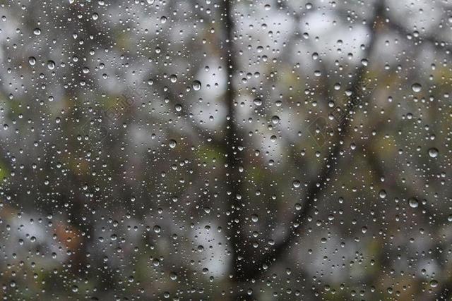 下雨天 雨滴 滴 湿 悲伤 安静 户外 性质 11 月