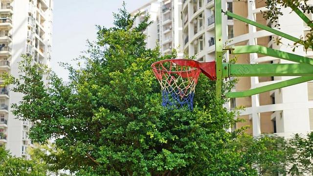 春天 阳光 篮球 篮球架 红白蓝 绿 社区 居住环境