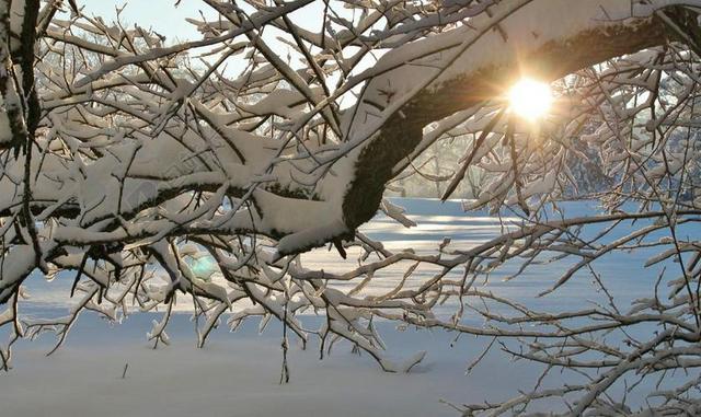 白色冬季户外雪景积雪背景图片
