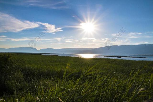 性质 景观 夏季 蓝蓝的天空 湖 字段 草地 瑞士