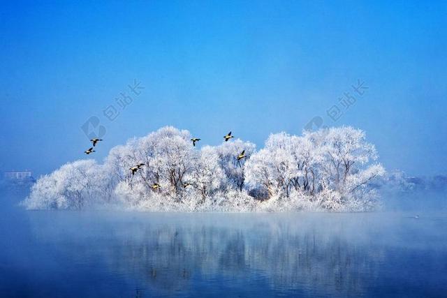 冬季 候鸟 湖 天空 景观 水 在河边 风光 湖景观 湖厂