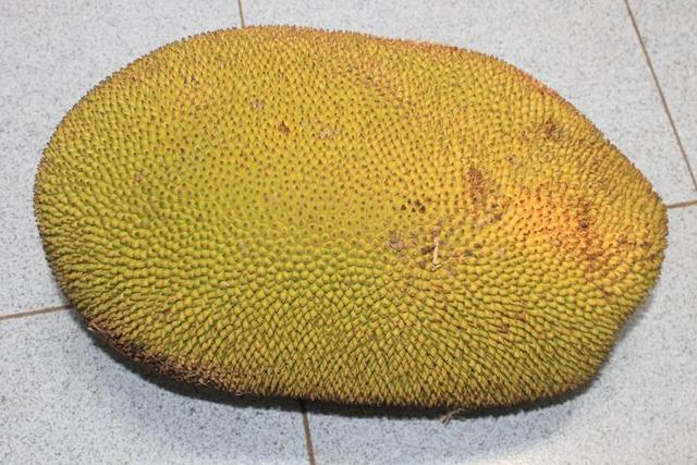 菠萝蜜 食品 印度尼西亚 亚洲