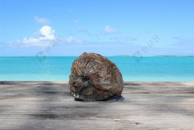 椰子 海滩 加勒比海 海