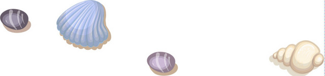 彩色卡通贝壳插画素材