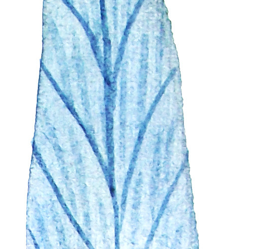 叶子素材