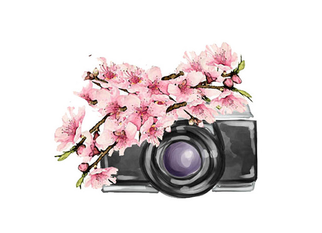 相机素材