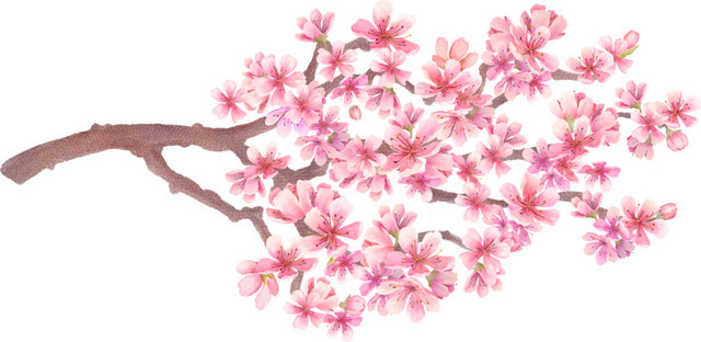 桃花枝素材