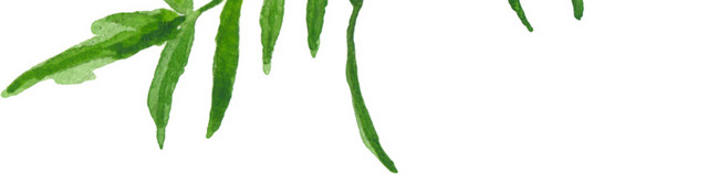 植株素材