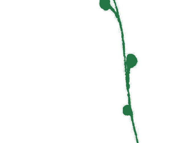 绿色花枝素材