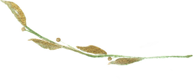 金粉水彩叶片素材
