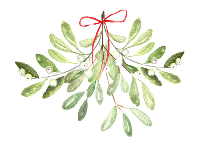 蝴蝶结植物叶子