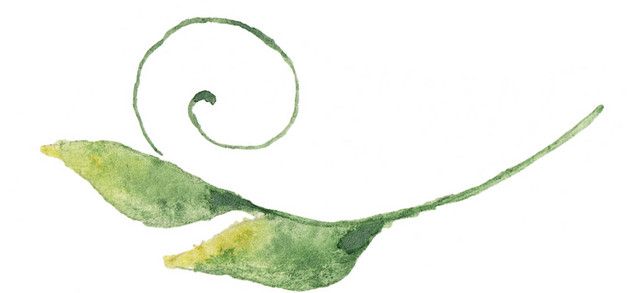 花茎叶子矢量图