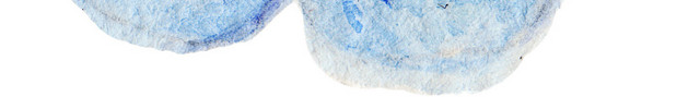 蓝色矢量小花素材