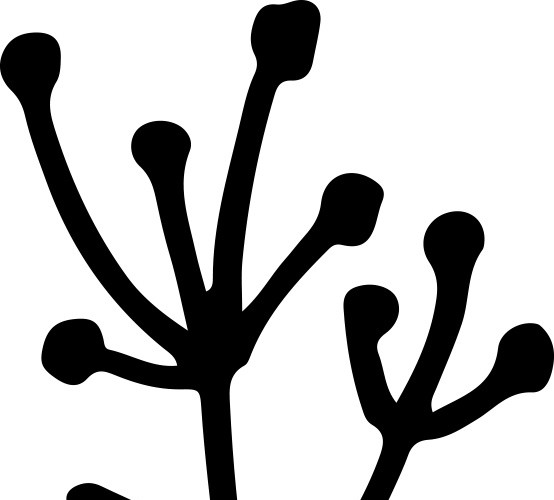 简笔画野花矢量图