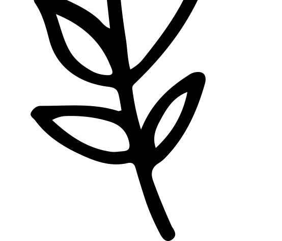 简笔画野花矢量图