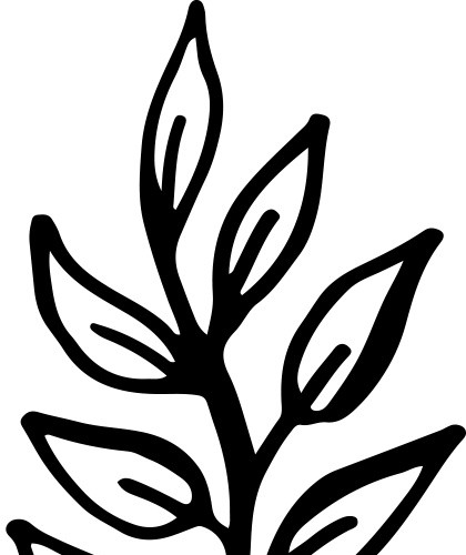 黑色手绘叶子枝条素材