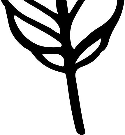 叶子黑色图案
