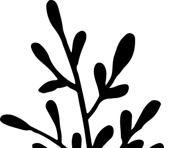 卡通画枝叶素材
