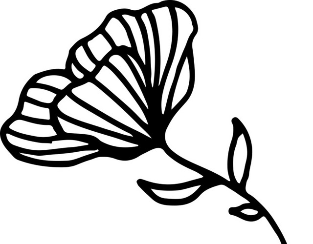 简单手描花卉素材