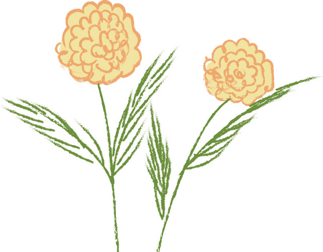 可爱黄色小花插画素材