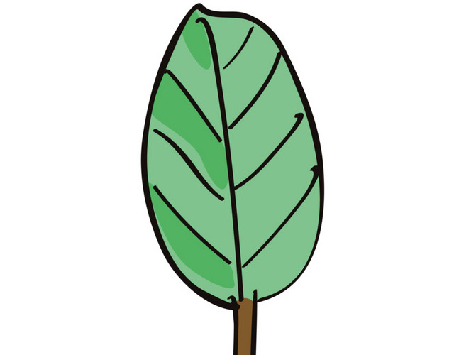 涂鸦插画小树