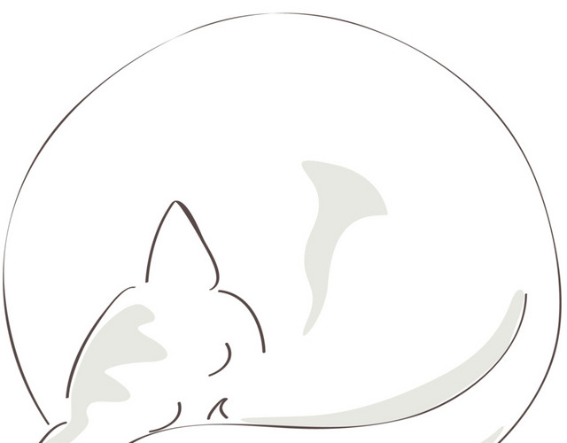 白色小猫动物素材