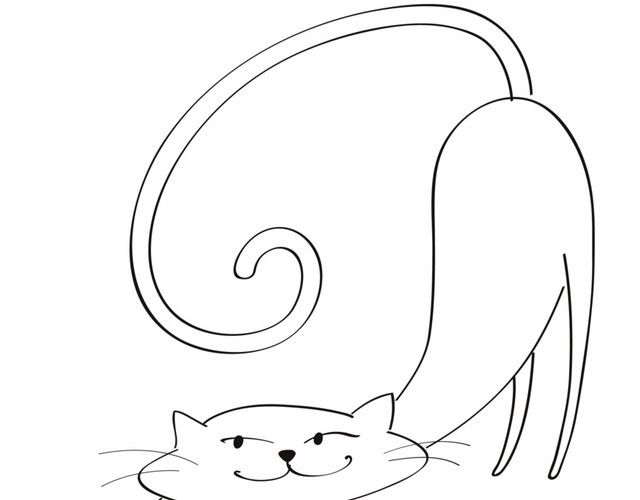 可爱白色小猫素材